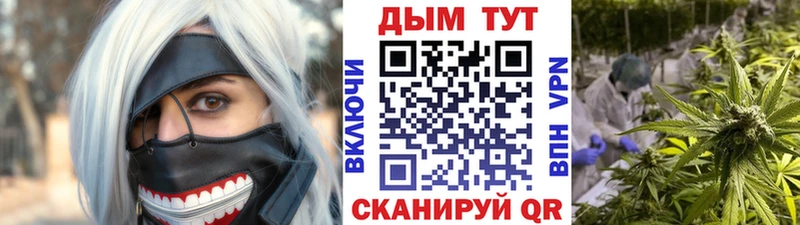 Где продают наркотики Железногорск-Илимский Гашиш  Бошки Шишки  Cocaine  Меф мяу мяу 