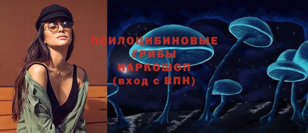 винт Гусев