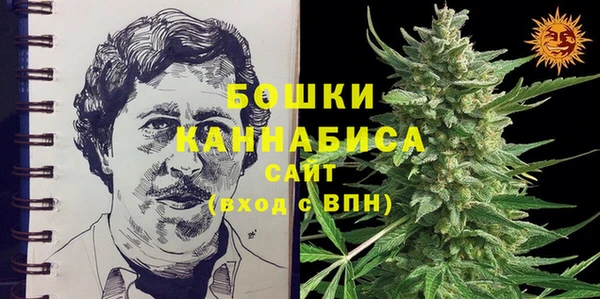 ГАЛЛЮЦИНОГЕННЫЕ ГРИБЫ Чердынь