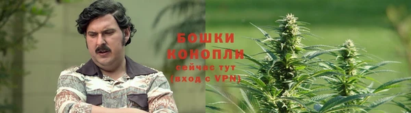 mix Гусиноозёрск