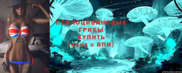 дурь Чекалин
