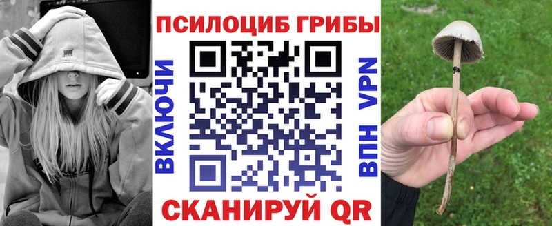 где продают наркотики  Железногорск-Илимский  Галлюциногенные грибы Magic Shrooms 
